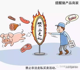 習(xí)水豬肉放心購(gòu)，飼料原料供應(yīng)穩(wěn)——解析非洲豬瘟防控下的市場(chǎng)保障
