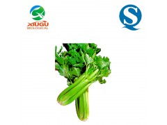 廠家直銷高品質(zhì)果蔬粉——芹菜粉，助力烘焙、膨化、固體飲料與飼料多元化應(yīng)用
